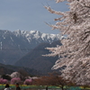 眞原地区から南アルプスを望む