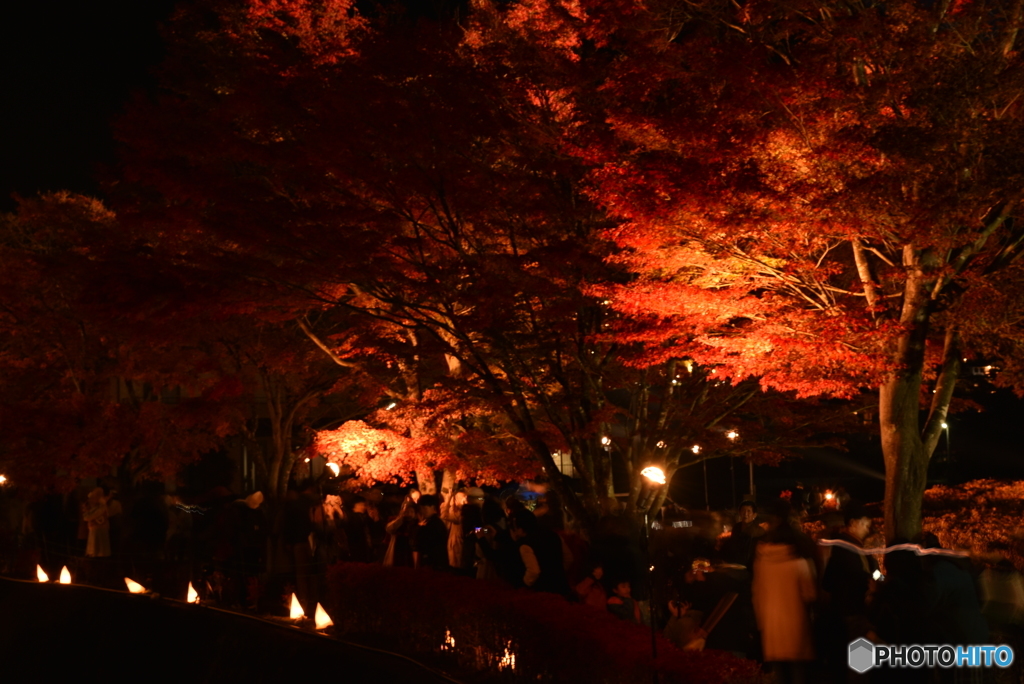 紅葉祭り（３）
