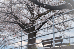 雨上がり