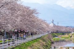川辺の遊歩道 #2