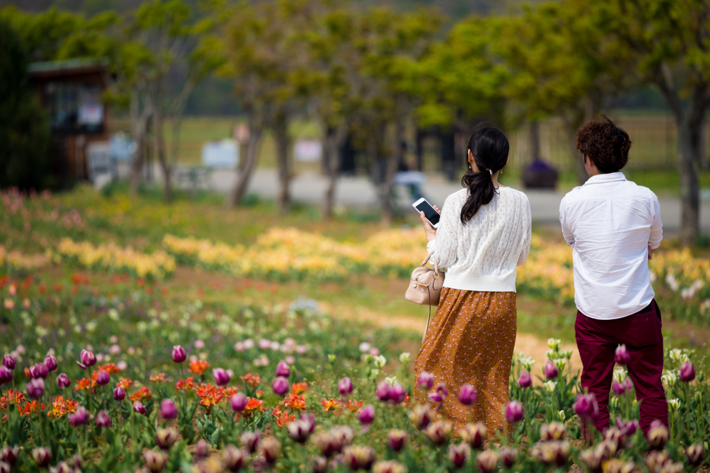 花畑にて