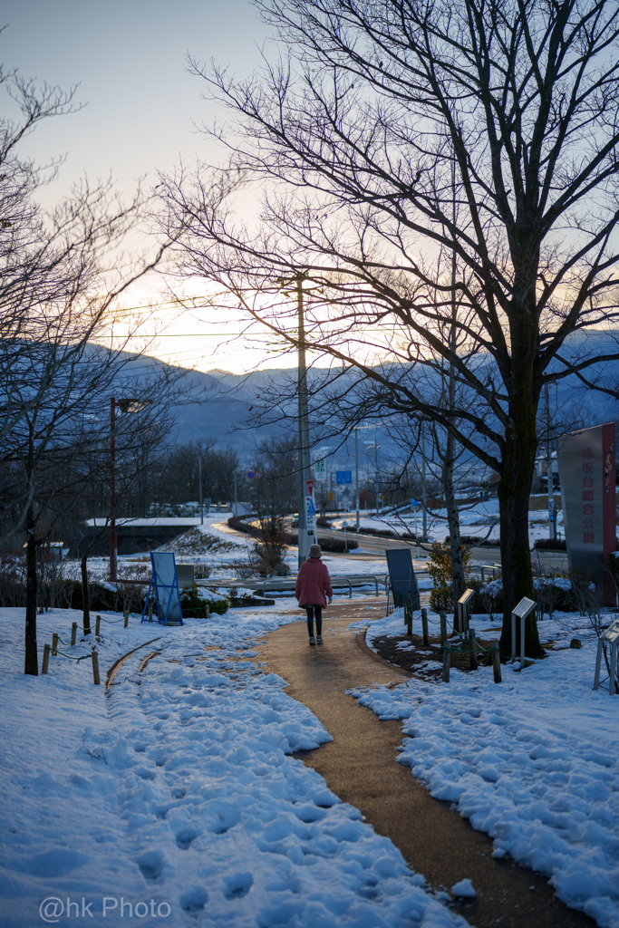 雪の散歩道