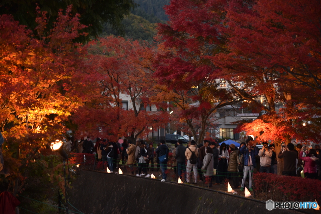 紅葉祭り（２）