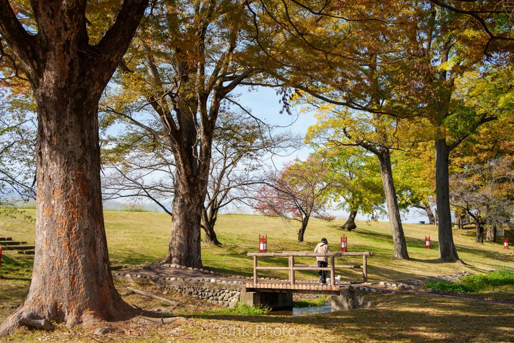秋の午後の過ごし方