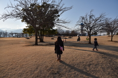 冬の公園