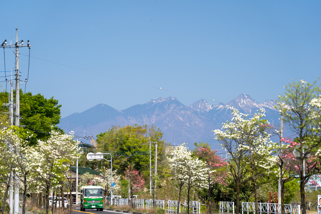 春の八ヶ岳