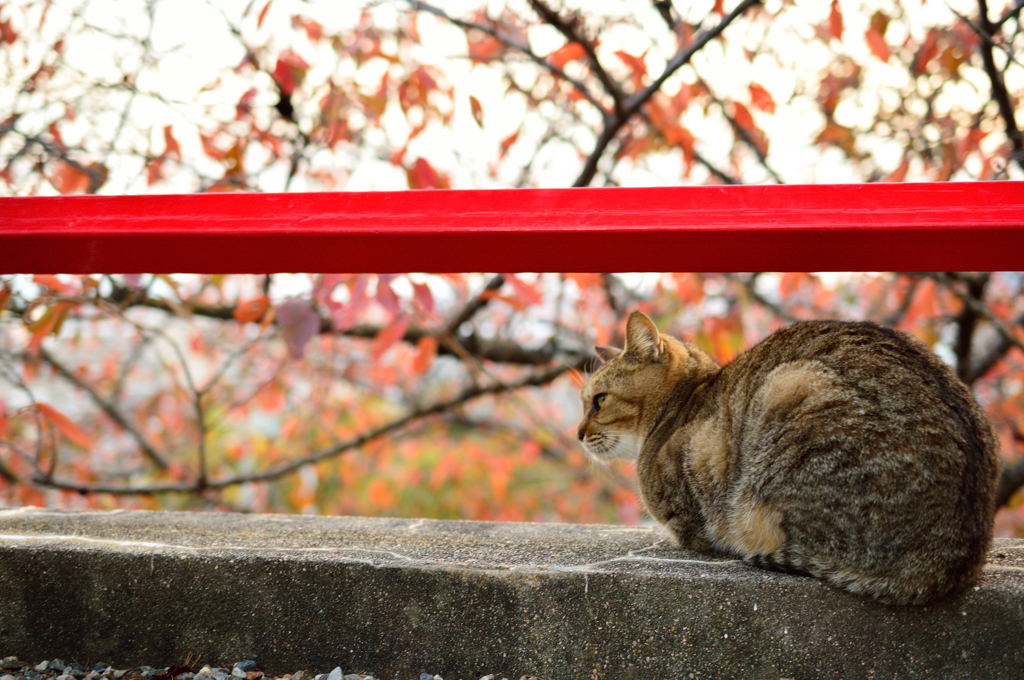 季節の変わり