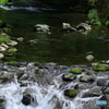 静かな景色