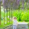 藤息子