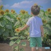 夏