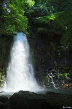 白糸の滝 その2