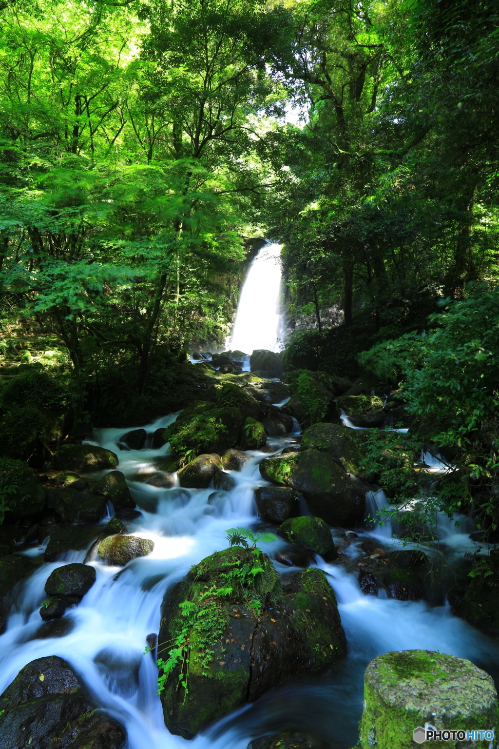 白糸の滝