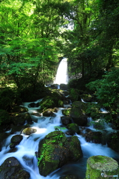 白糸の滝