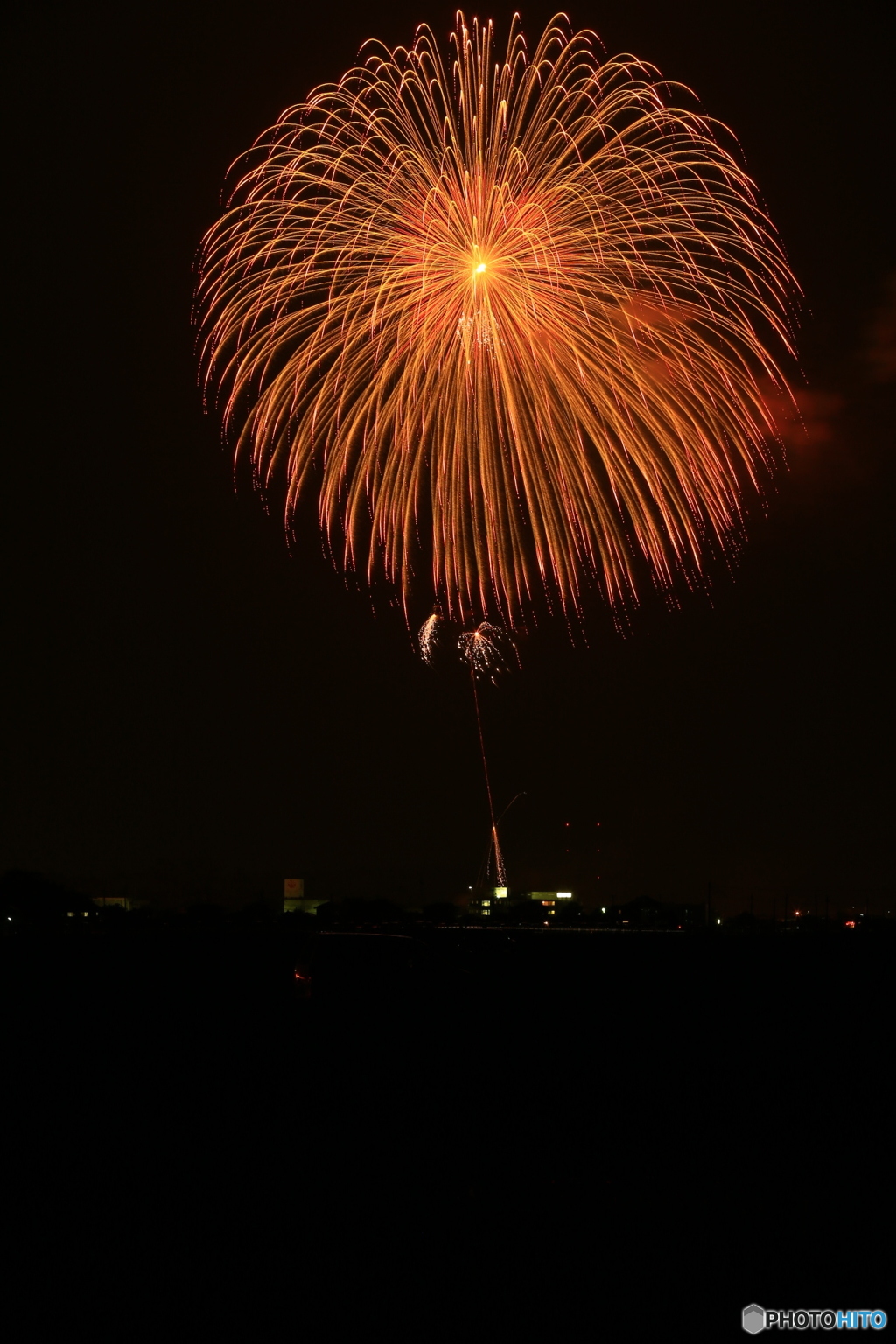 夜空の花