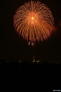 夜空の花