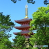 誕生寺