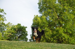 近所の公園で5