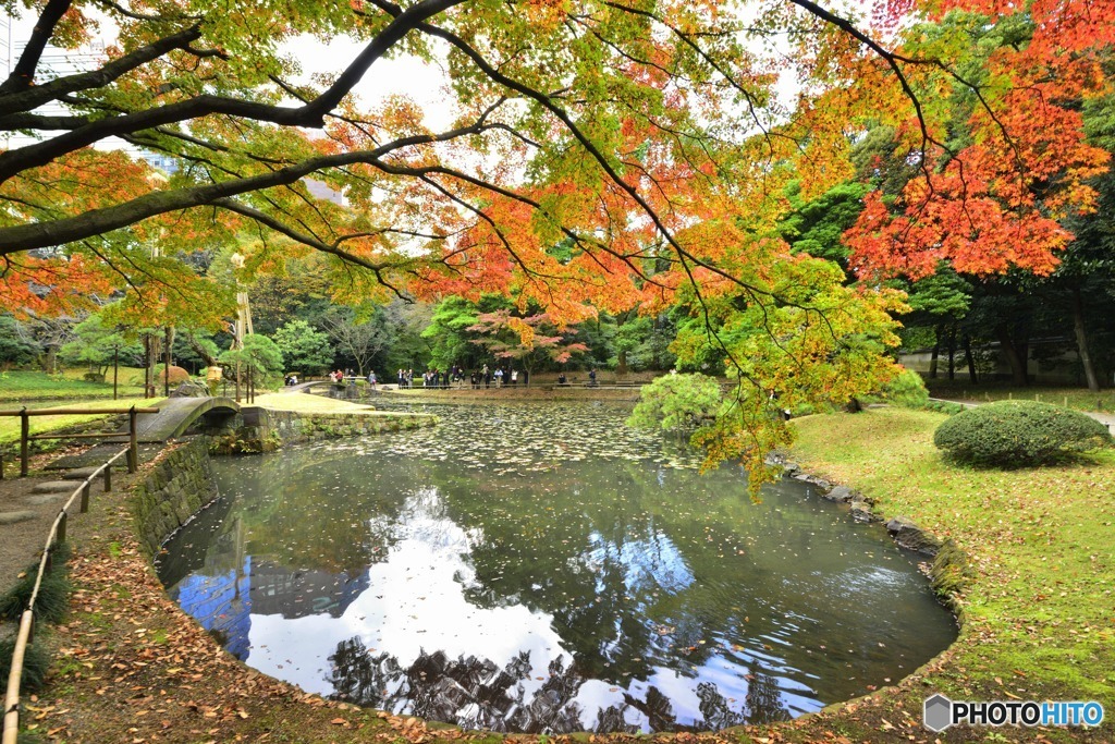 小石川庭園
