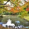 小石川庭園