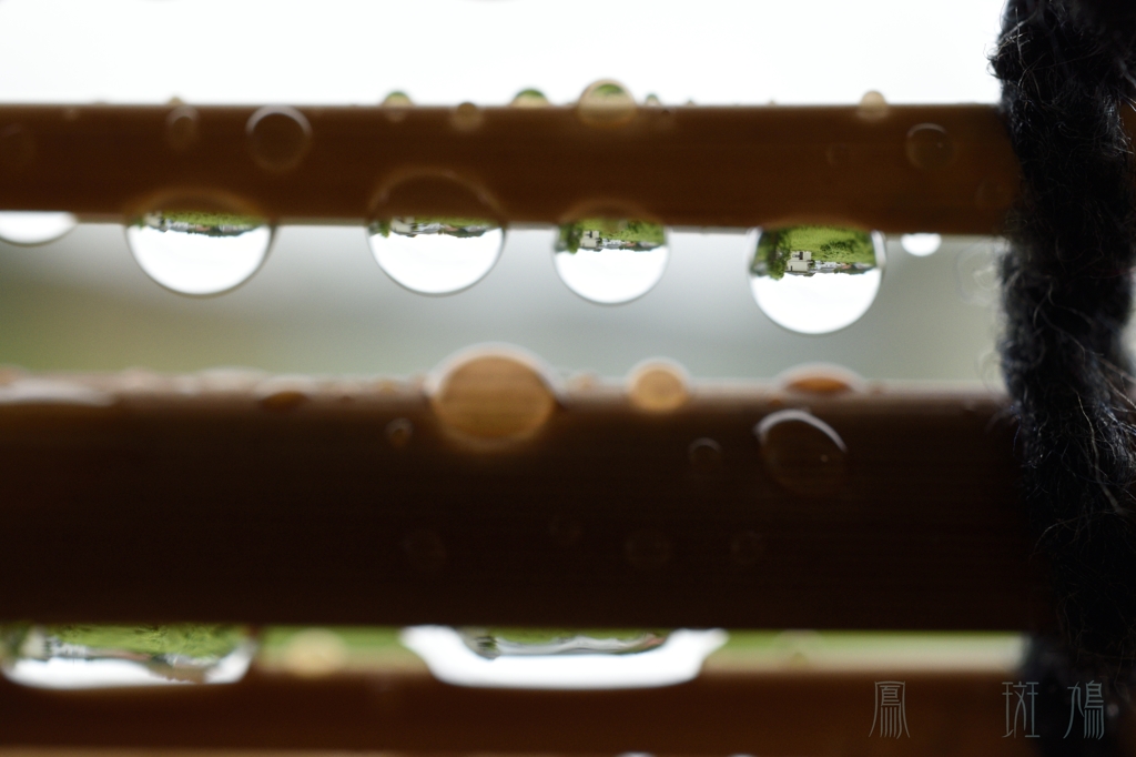 すだれ雫
