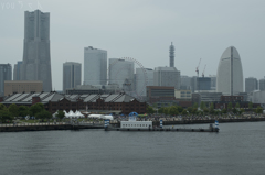 ザ横浜2