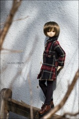 実家の庭