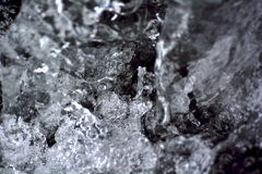 _DSC0037