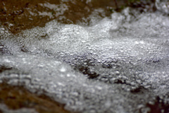 _DSC0046