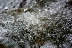 _DSC0020