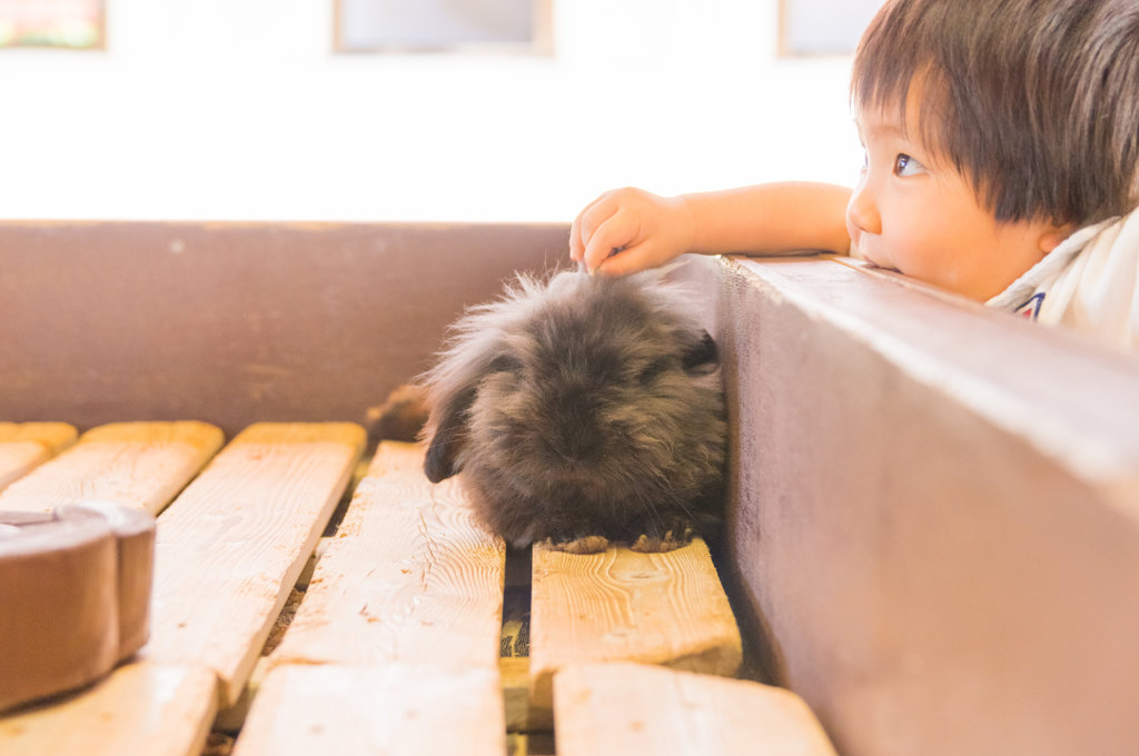 若干のピンぼけにつき