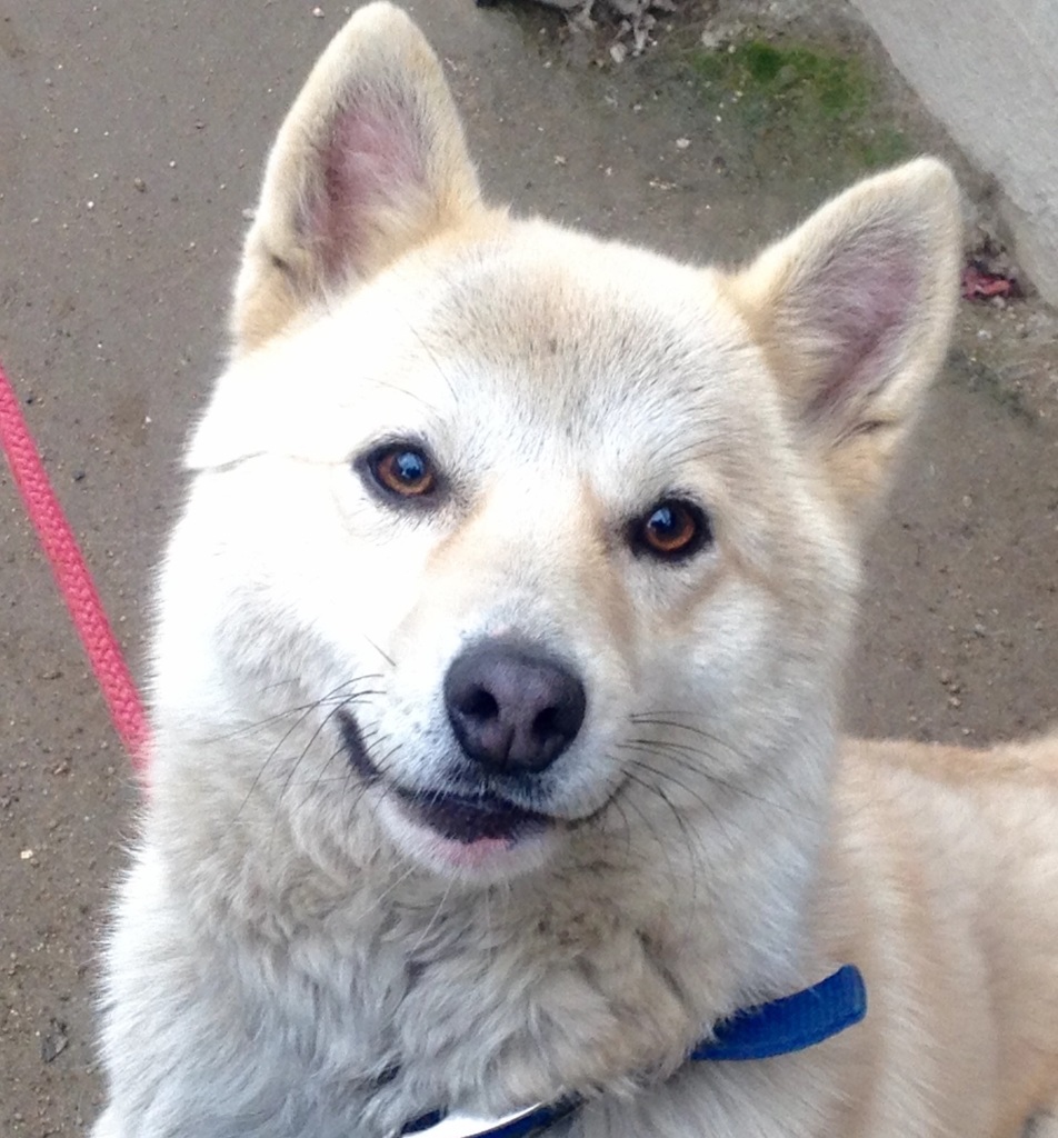 スマイルタロ。