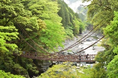 祖谷のかずら橋