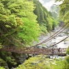 祖谷のかずら橋