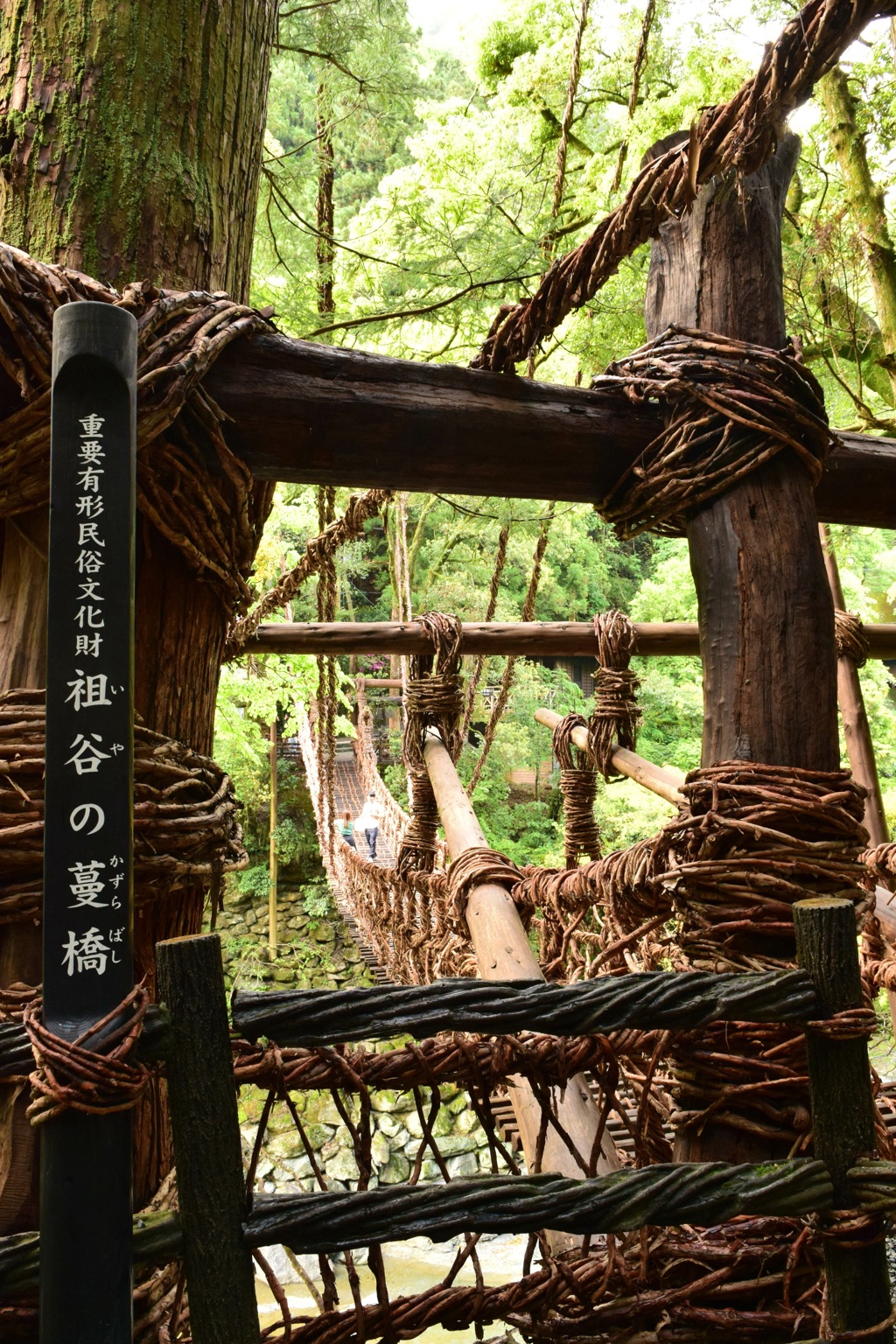 祖谷のかずら橋