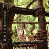 祖谷のかずら橋