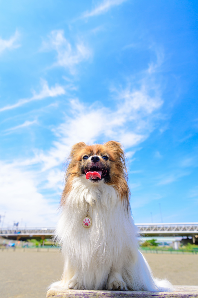 青空スマイル