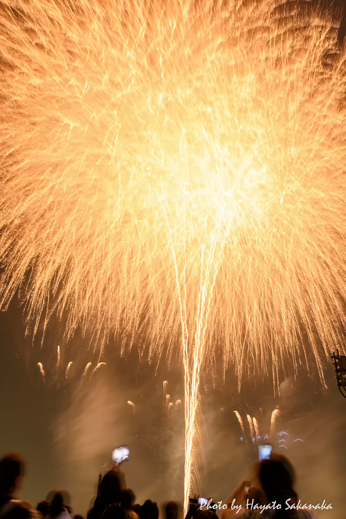 2015東京競馬場花火大会17