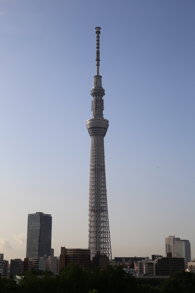 スカイツリー