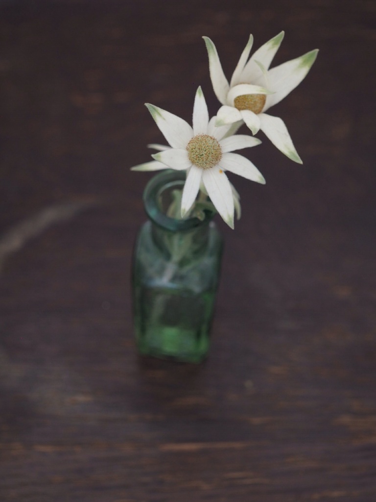 flowers 2