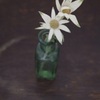 flowers 2