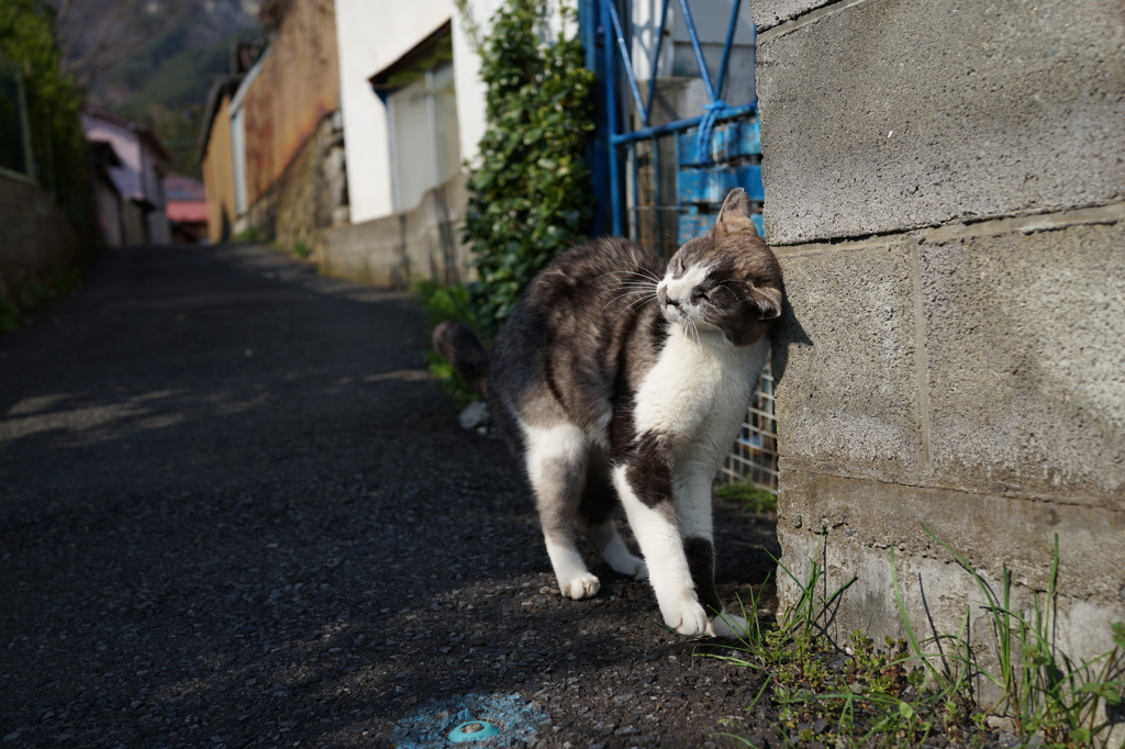 nice to meet you!