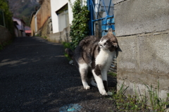 nice to meet you!