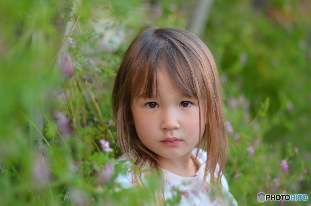 amongst fairy flower garden