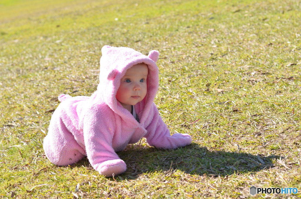 baby pink bear