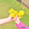 ハートのお花