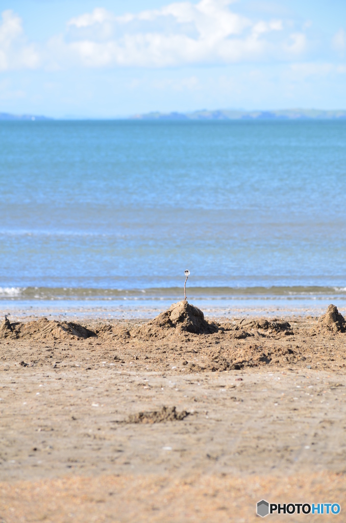 sand castle