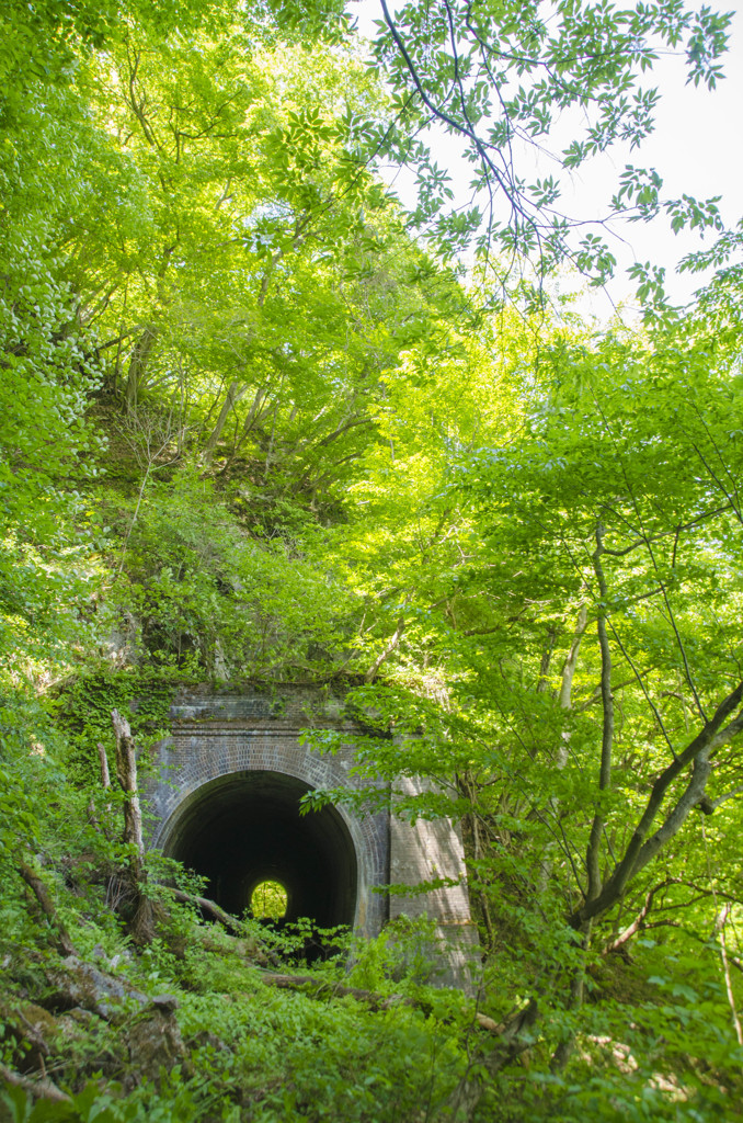 5号隧道　－新緑－