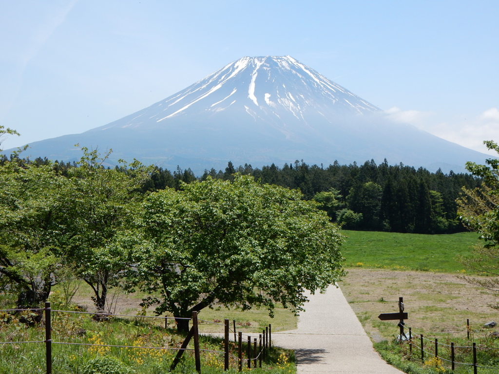 朝霧高原からの富士山