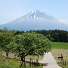朝霧高原からの富士山
