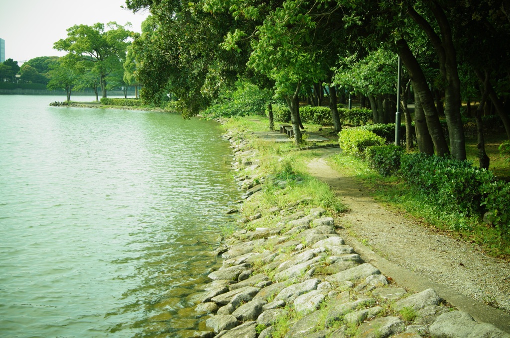 湖畔は石でごつごつ